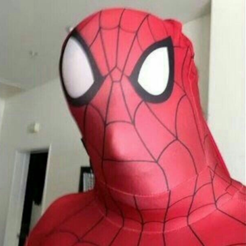 Spiderman 1